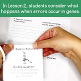 DNA Model, Trait Building, and Genetic Mutations l DNA coloring
