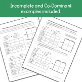 Punnett Square Practice Worksheets for Incomplete and Co-Dominant Traits