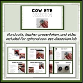 Parts of the Eye and Their Function - Activities and Worksheets (NGSS MS-LS1-8)