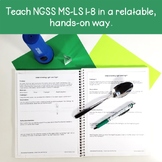 Human Body: Brain, Nervous System, and The Senses Unit - Activities & Worksheets
